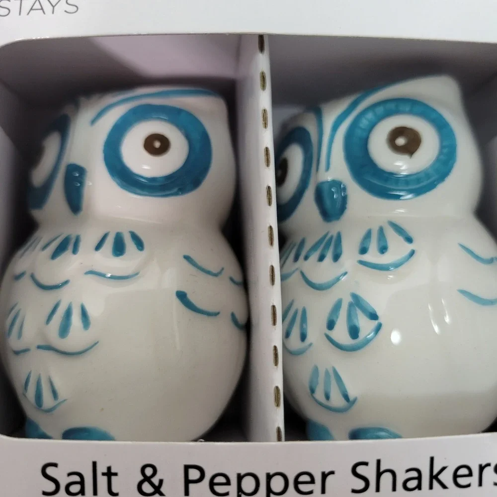 Mainstays Owl Salt and Pepper Shakers Set of 2 Hand Painted Earthenware